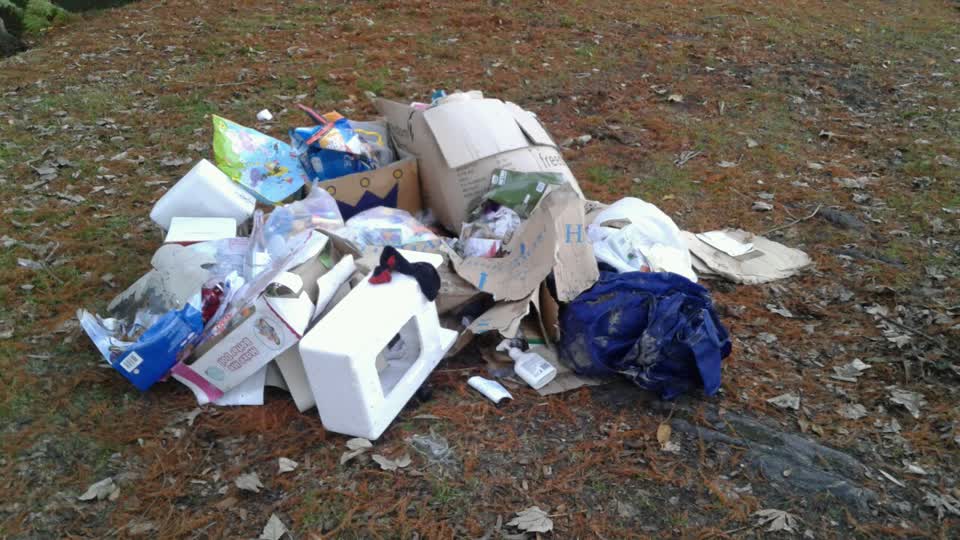 The photograph attached to this rubbish/recycling report