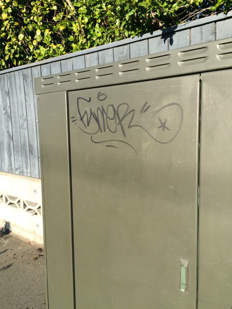 The photograph attached to this graffiti report