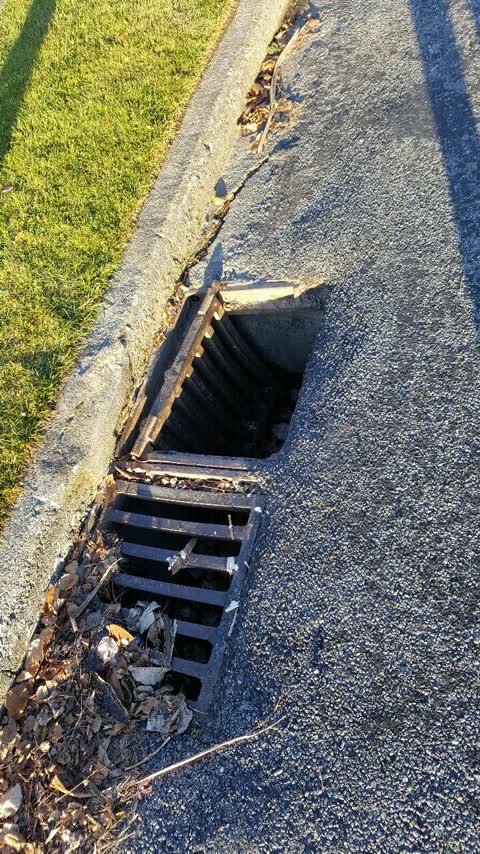 Roading/Streets, a report photo