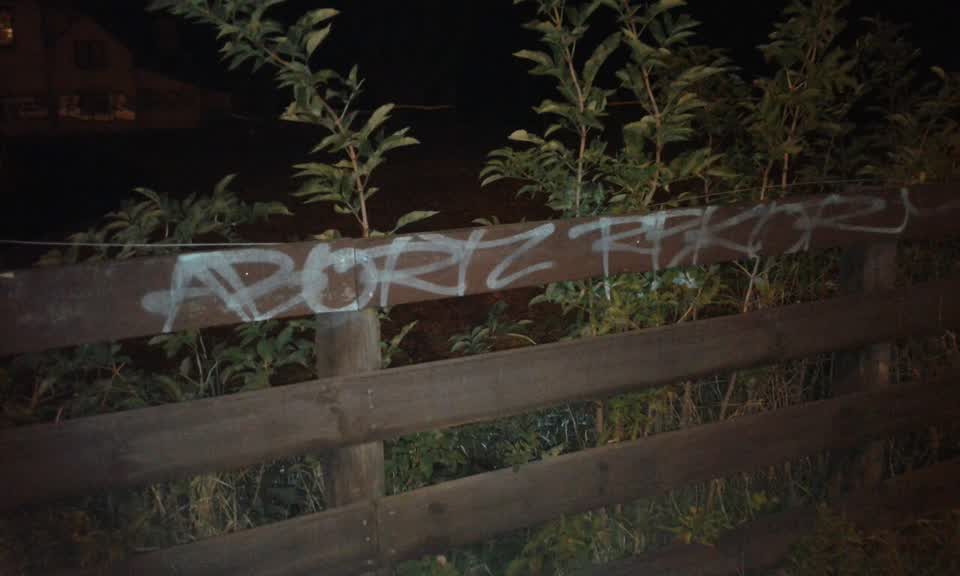 The photograph attached to this graffiti report