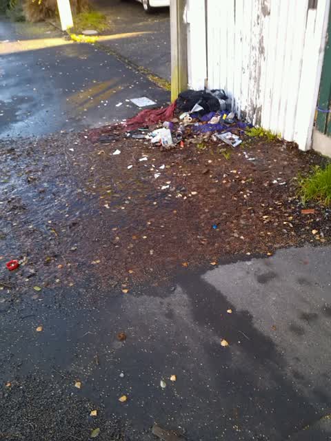 Rubbish/Recycling, a report photo