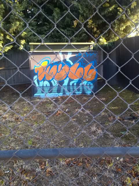 Graffiti, a report photo