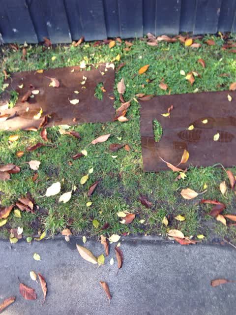 Roading/Streets, a report photo