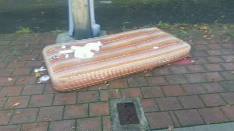 Rubbish/Recycling, a report photo
