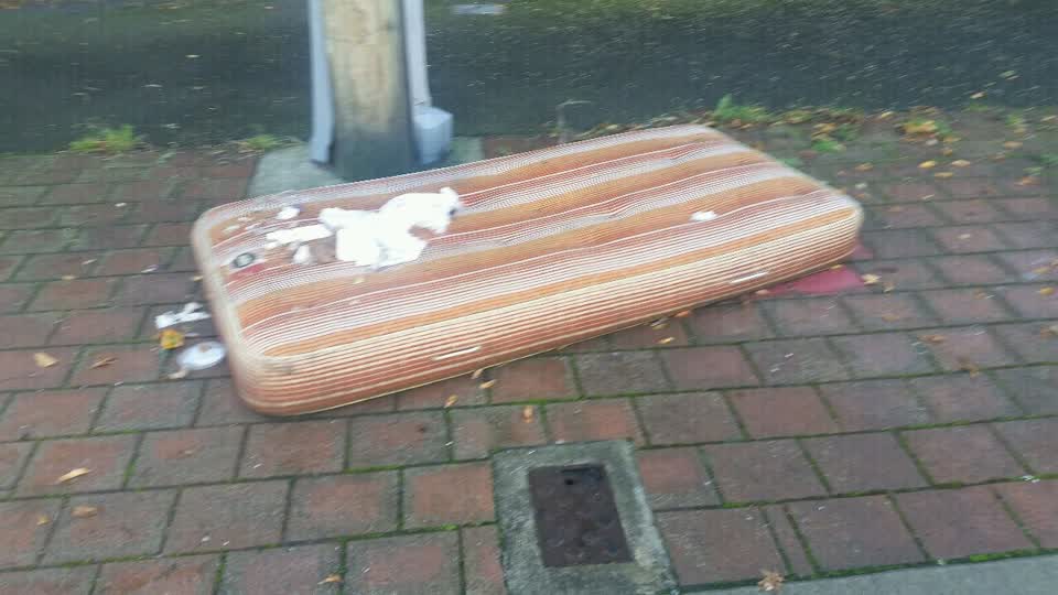 The photograph attached to this rubbish/recycling report