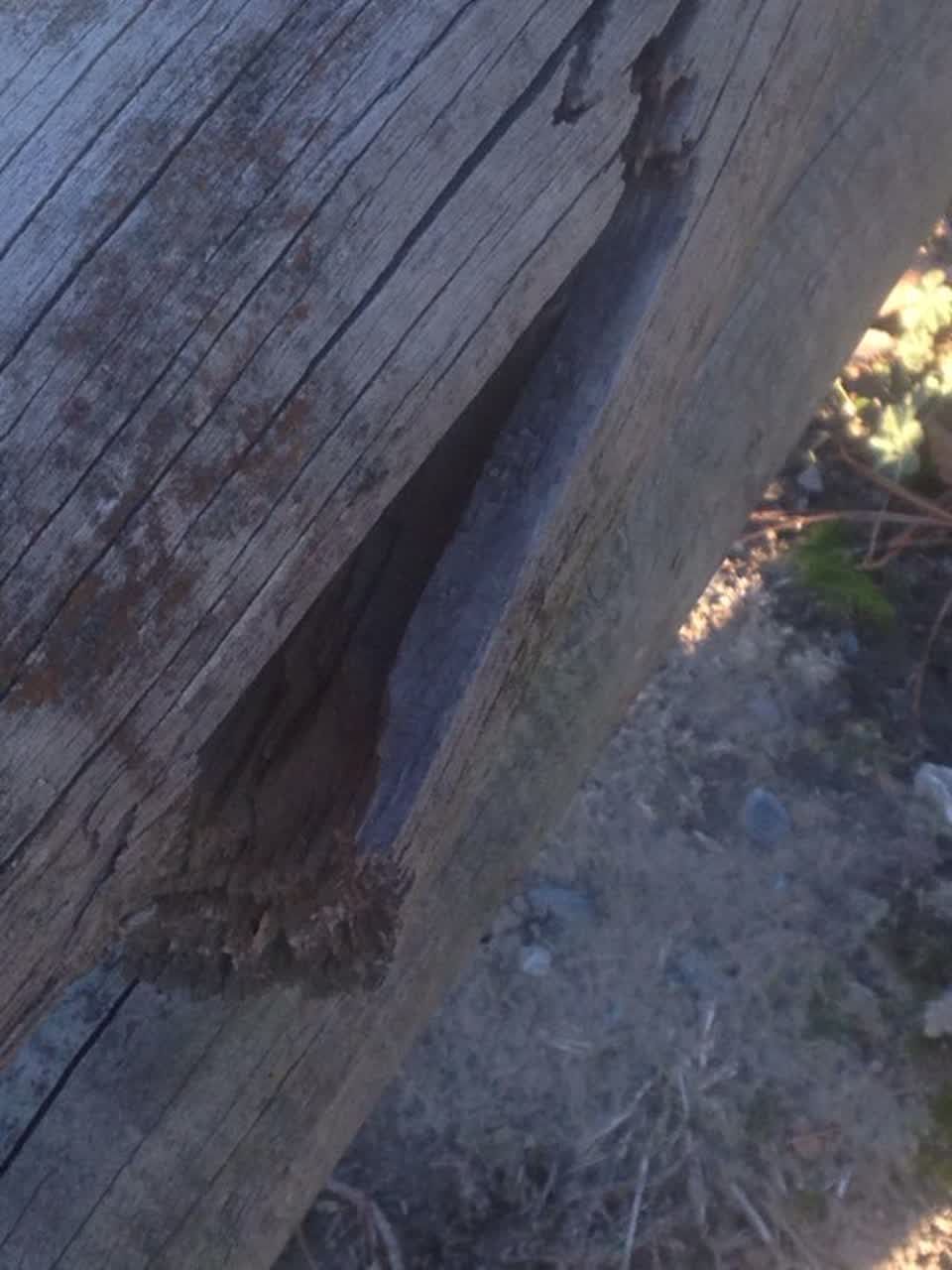 The photograph attached to this parks report