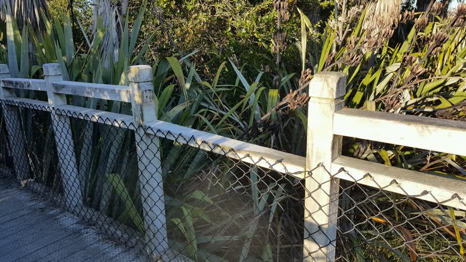 The photograph attached to this parks report