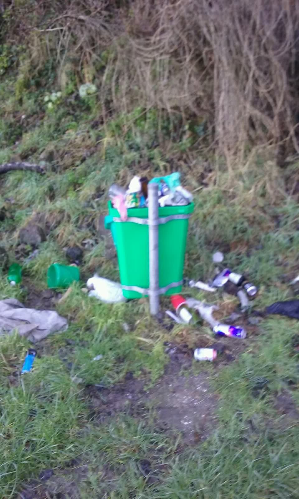 The photograph attached to this parks report