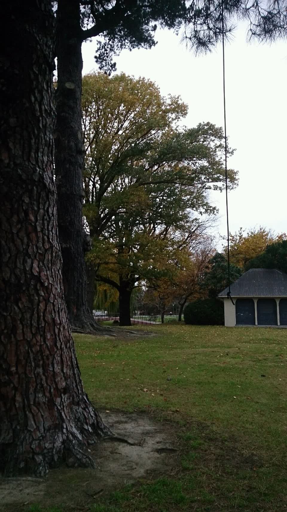 The photograph attached to this parks report