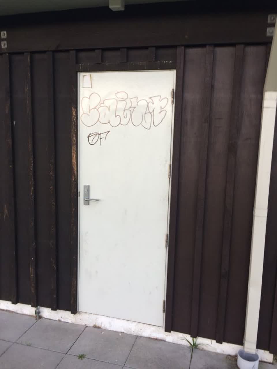 The photograph attached to this graffiti report
