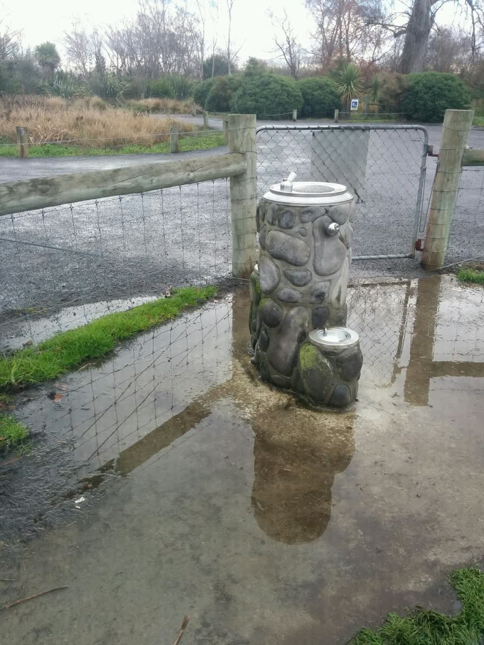 The photograph attached to this parks report