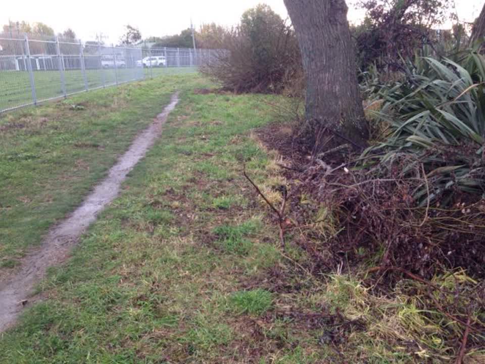 The photograph attached to this parks report