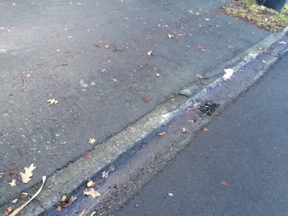 The photograph attached to this roading/streets report