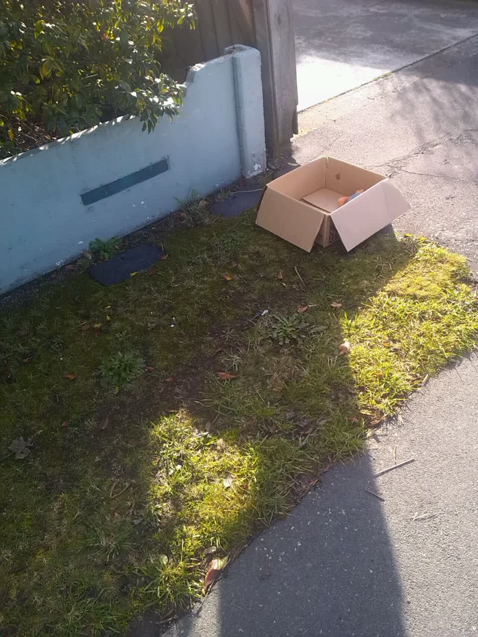 The photograph attached to this rubbish/recycling report