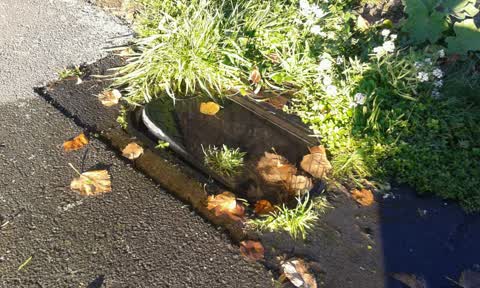 Water Supply, a report photo