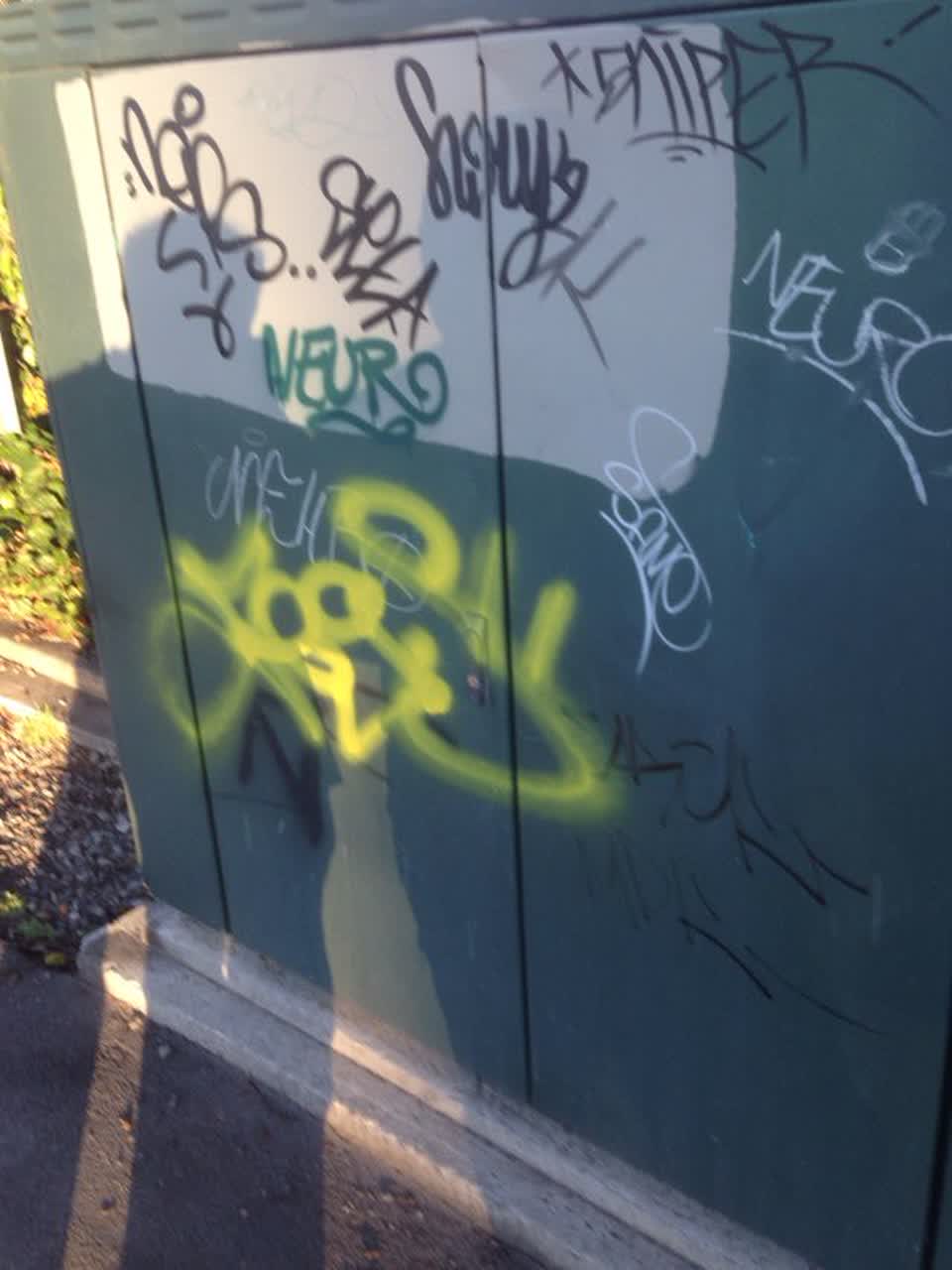 The photograph attached to this graffiti report