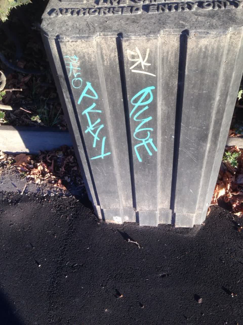 The photograph attached to this graffiti report