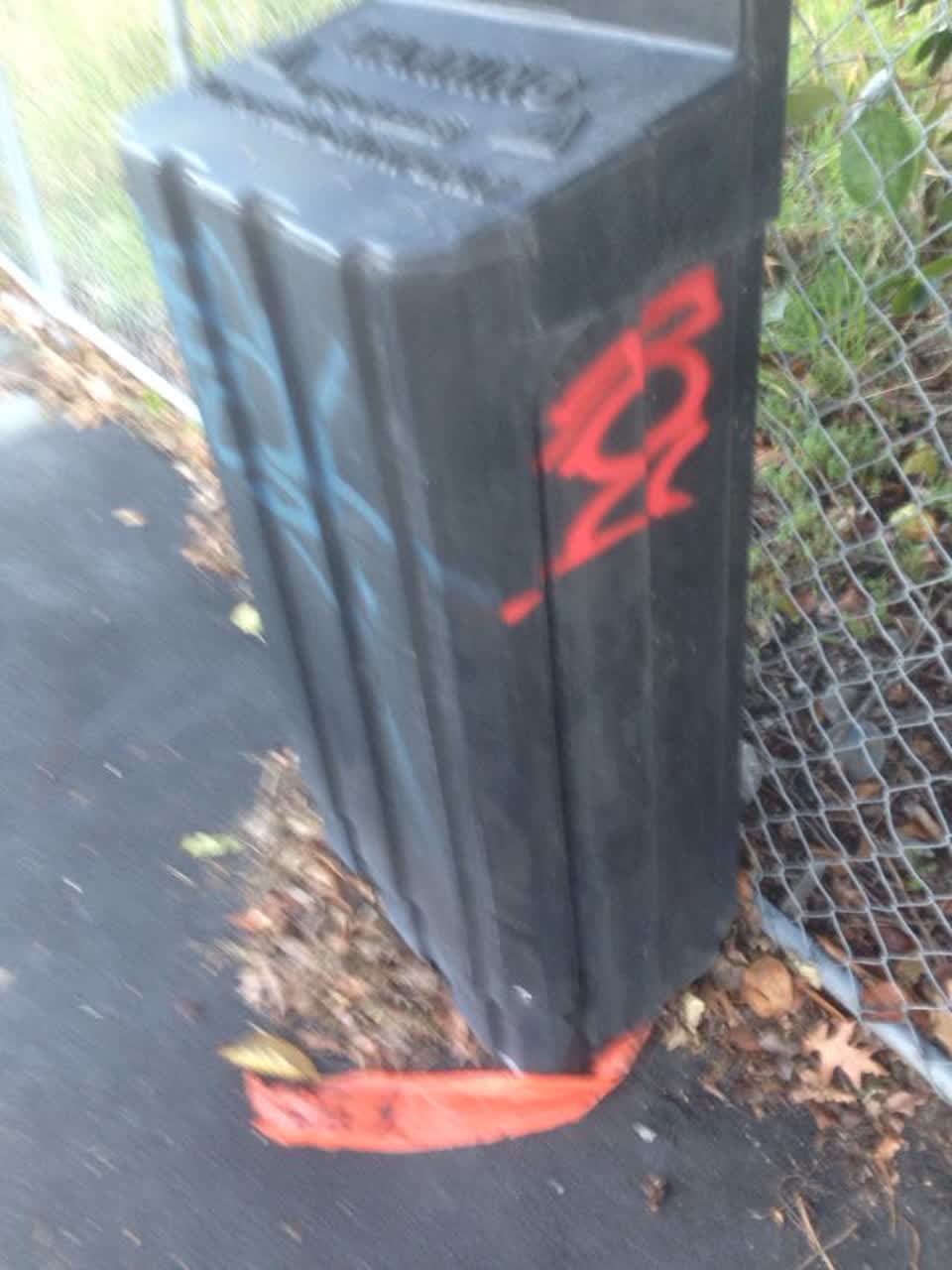The photograph attached to this graffiti report
