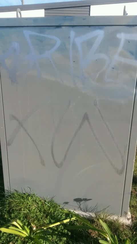 Graffiti, a report photo