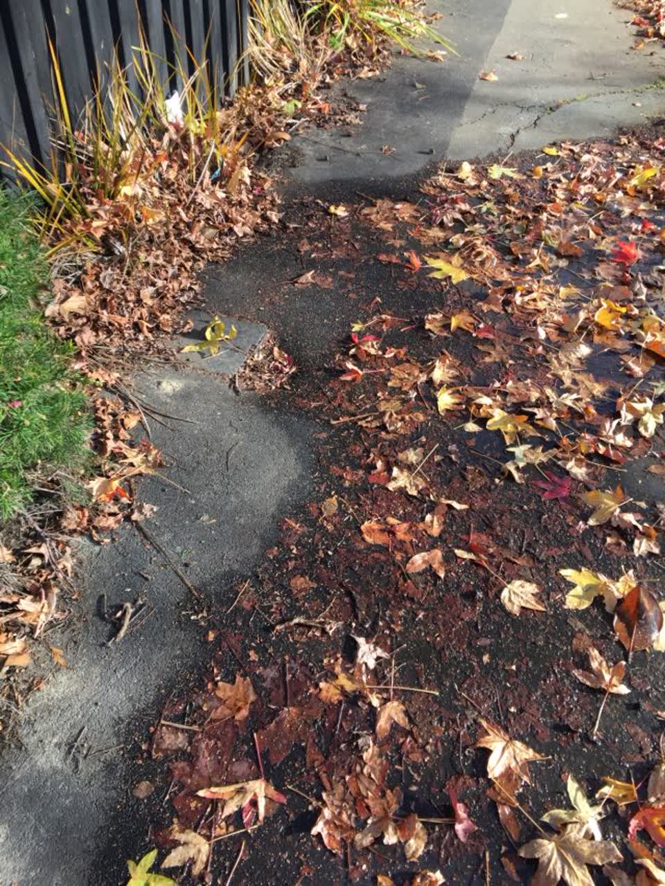 The photograph attached to this water supply report