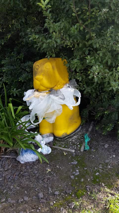 Parks, a report photo