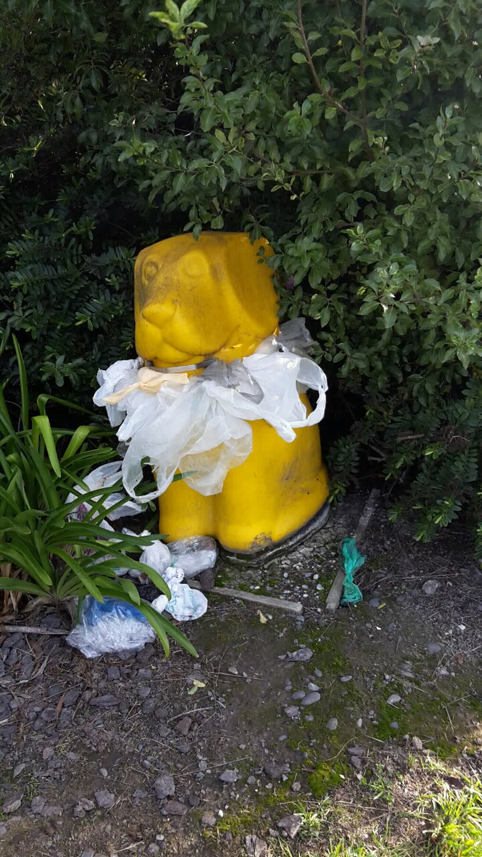 The photograph attached to this parks report