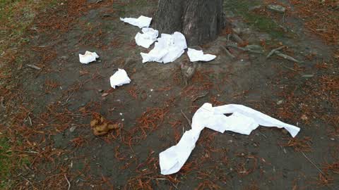 Parks, a report photo