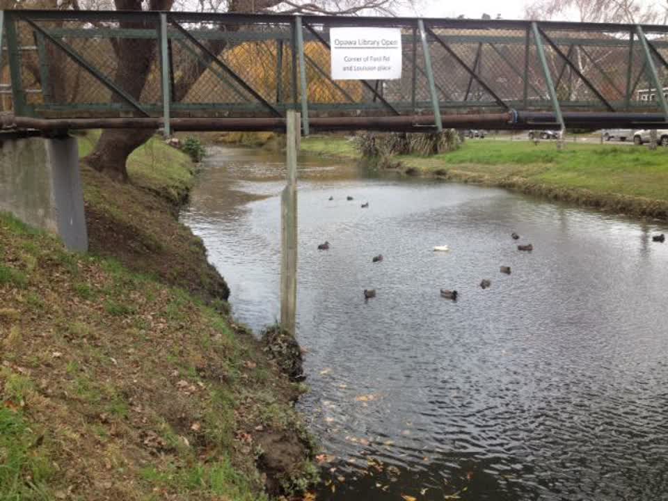The photograph attached to this parks report
