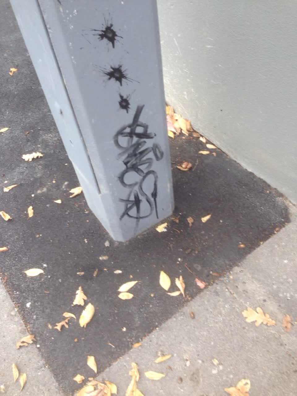 The photograph attached to this graffiti report