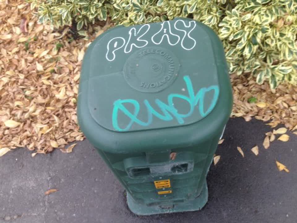 The photograph attached to this graffiti report