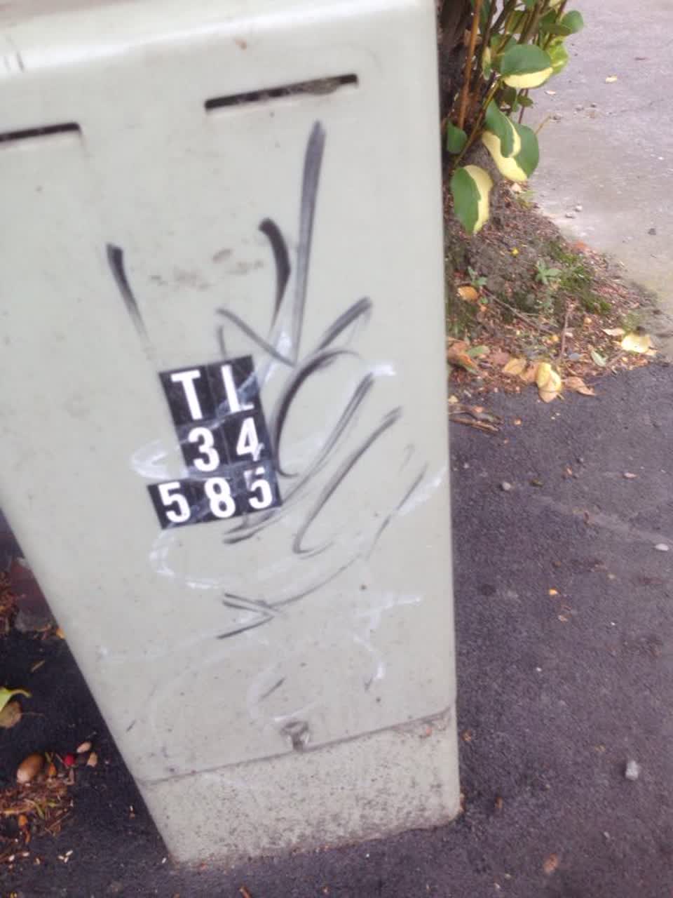 The photograph attached to this graffiti report