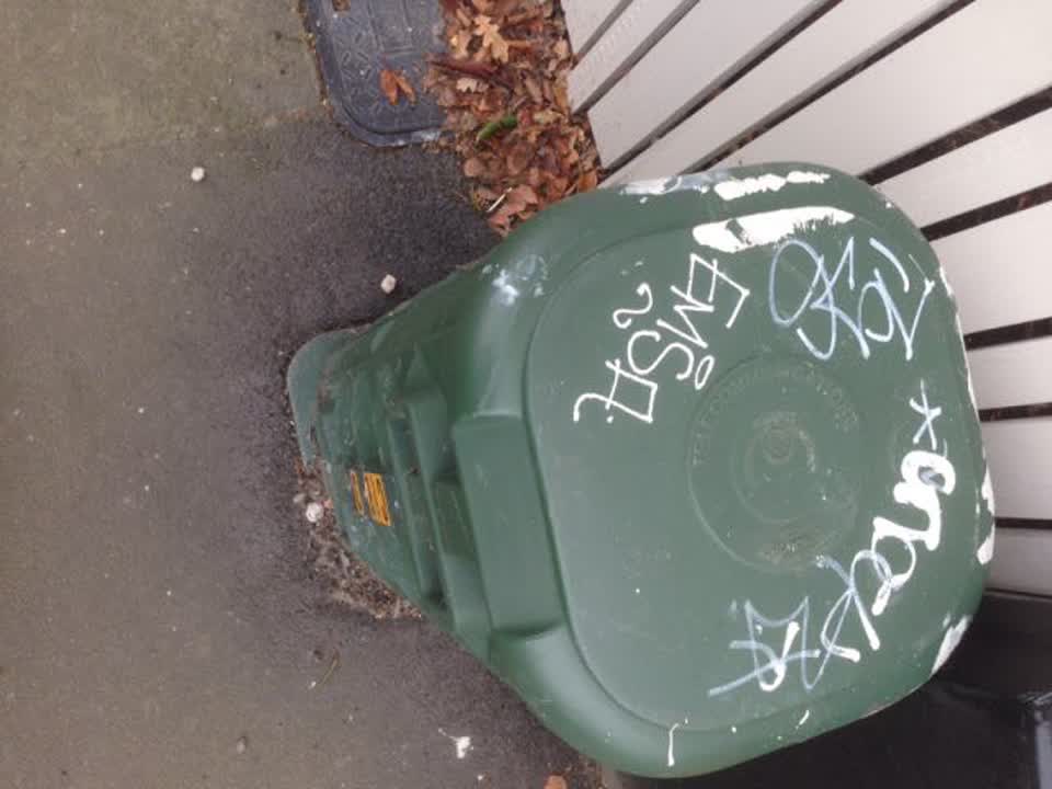 The photograph attached to this graffiti report