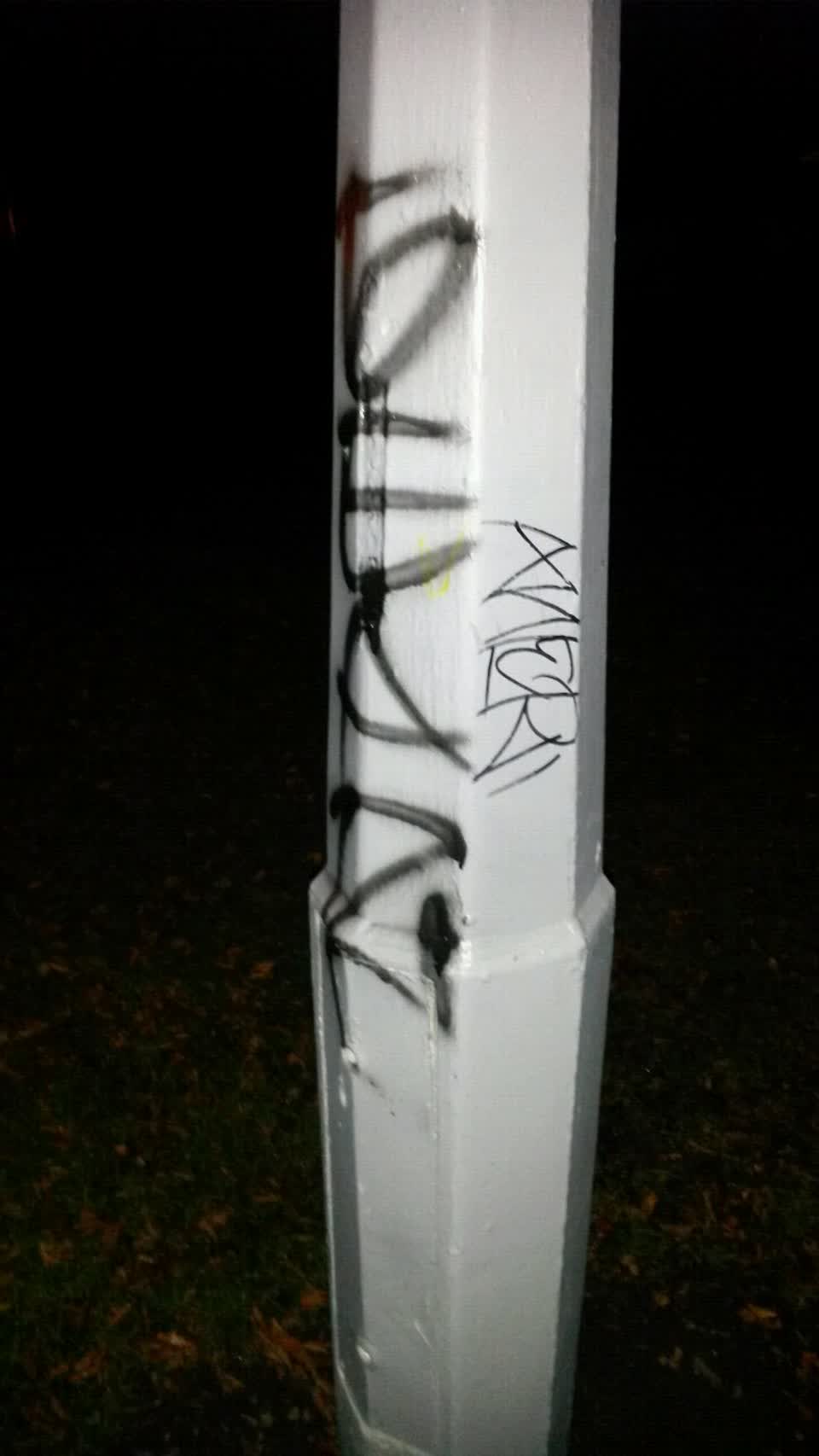 The photograph attached to this graffiti report