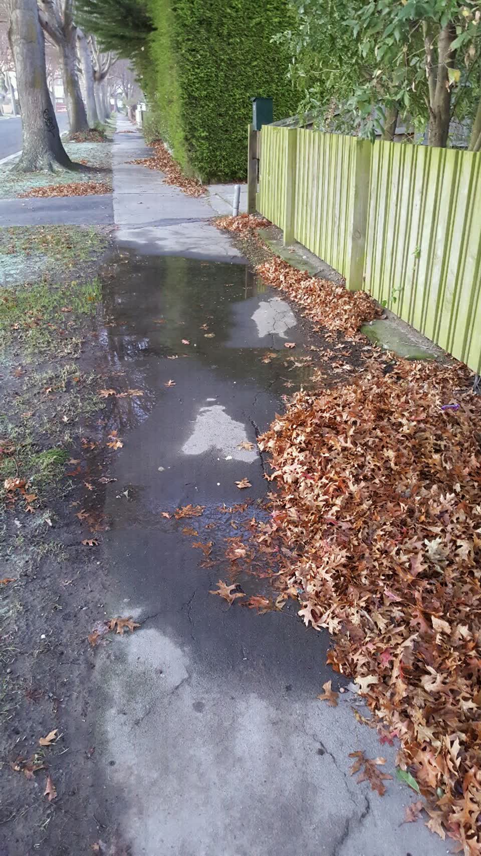 The photograph attached to this water supply report