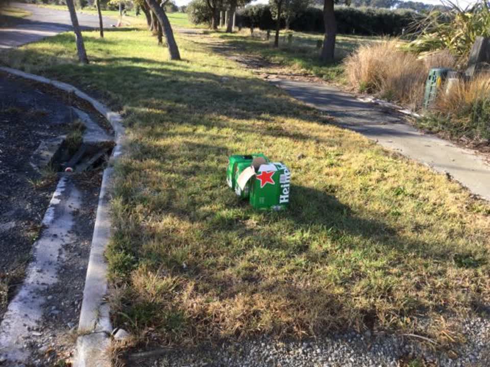 The photograph attached to this rubbish/recycling report