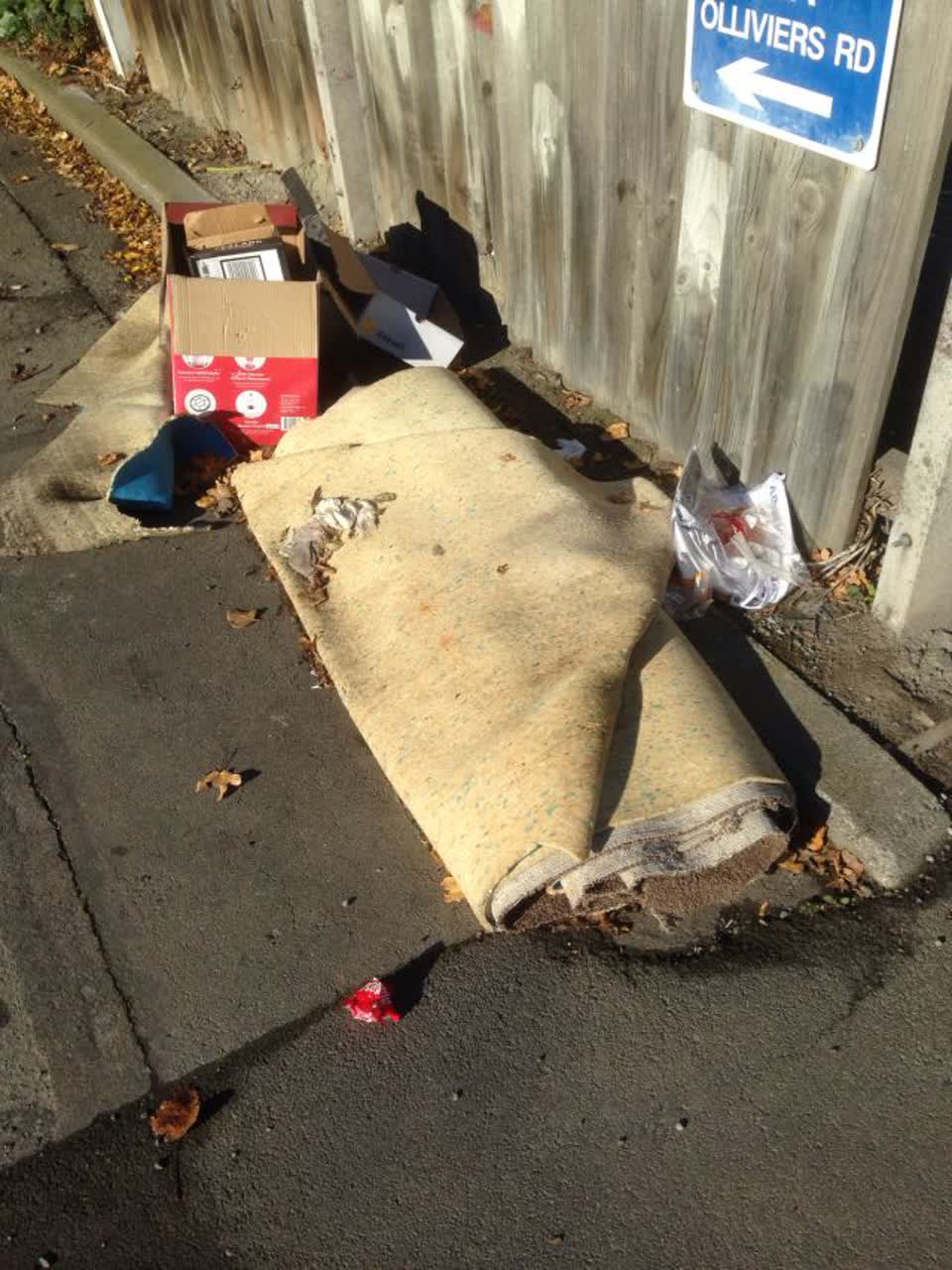 The photograph attached to this rubbish/recycling report