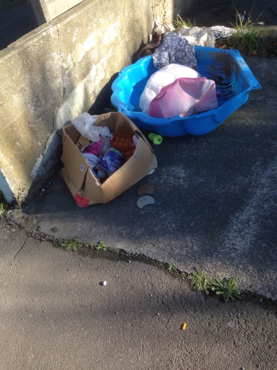 The photograph attached to this rubbish/recycling report