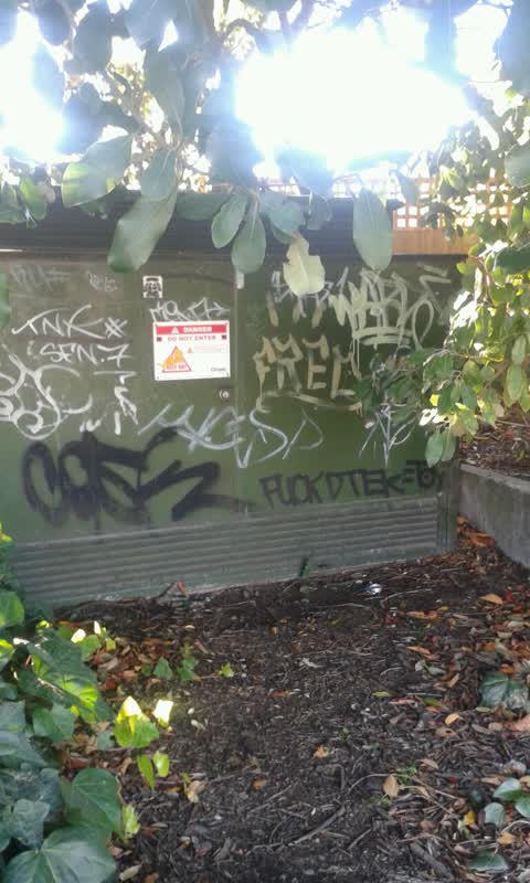 Graffiti, a report photo