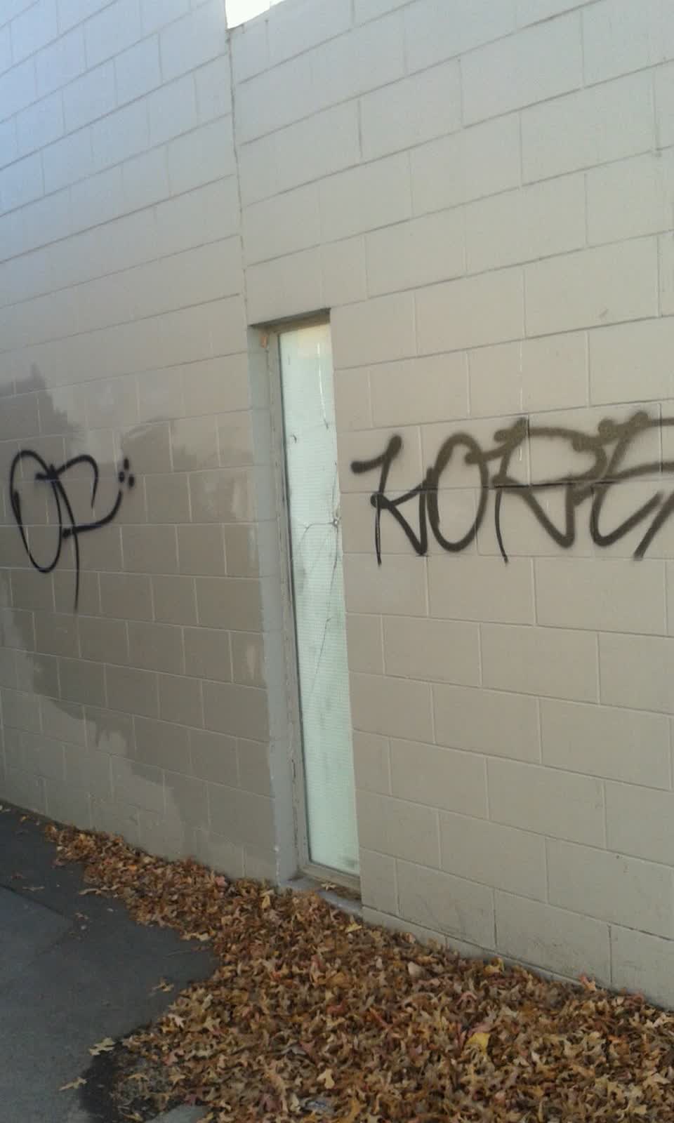 The photograph attached to this graffiti report
