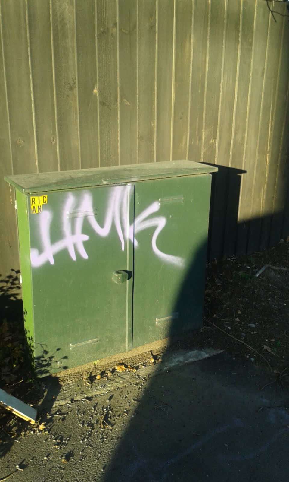 The photograph attached to this graffiti report