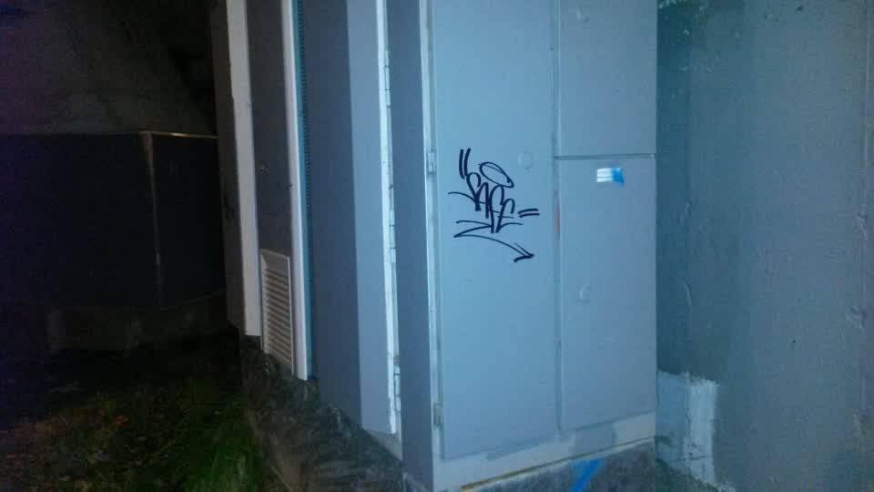 The photograph attached to this graffiti report