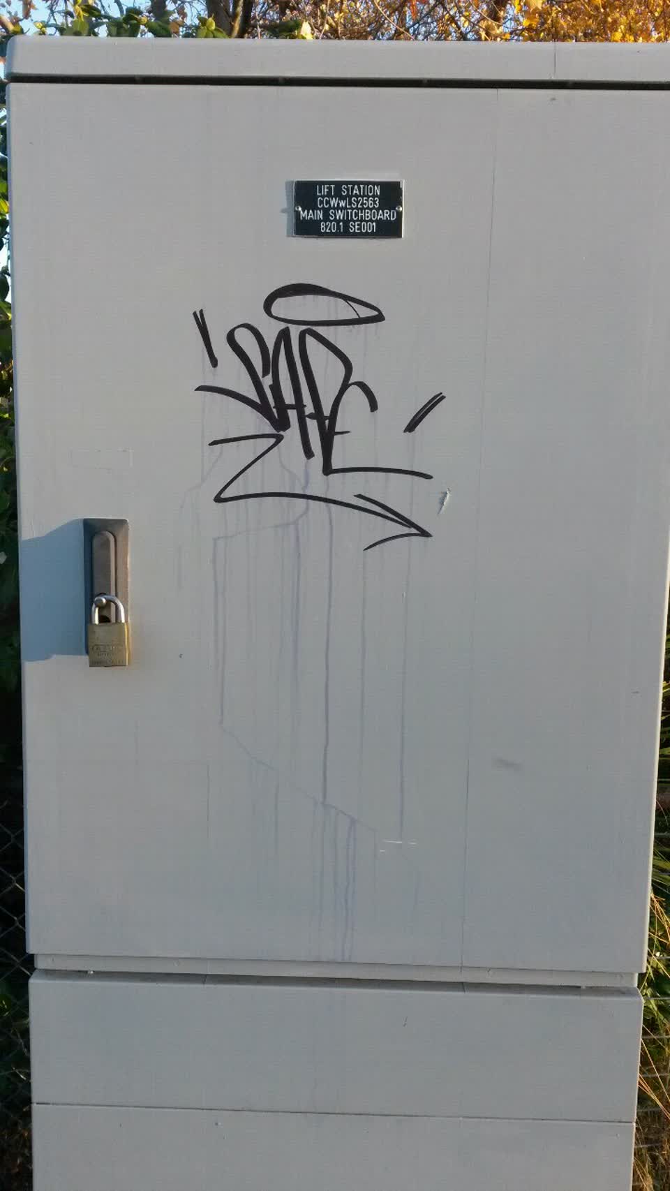 The photograph attached to this graffiti report