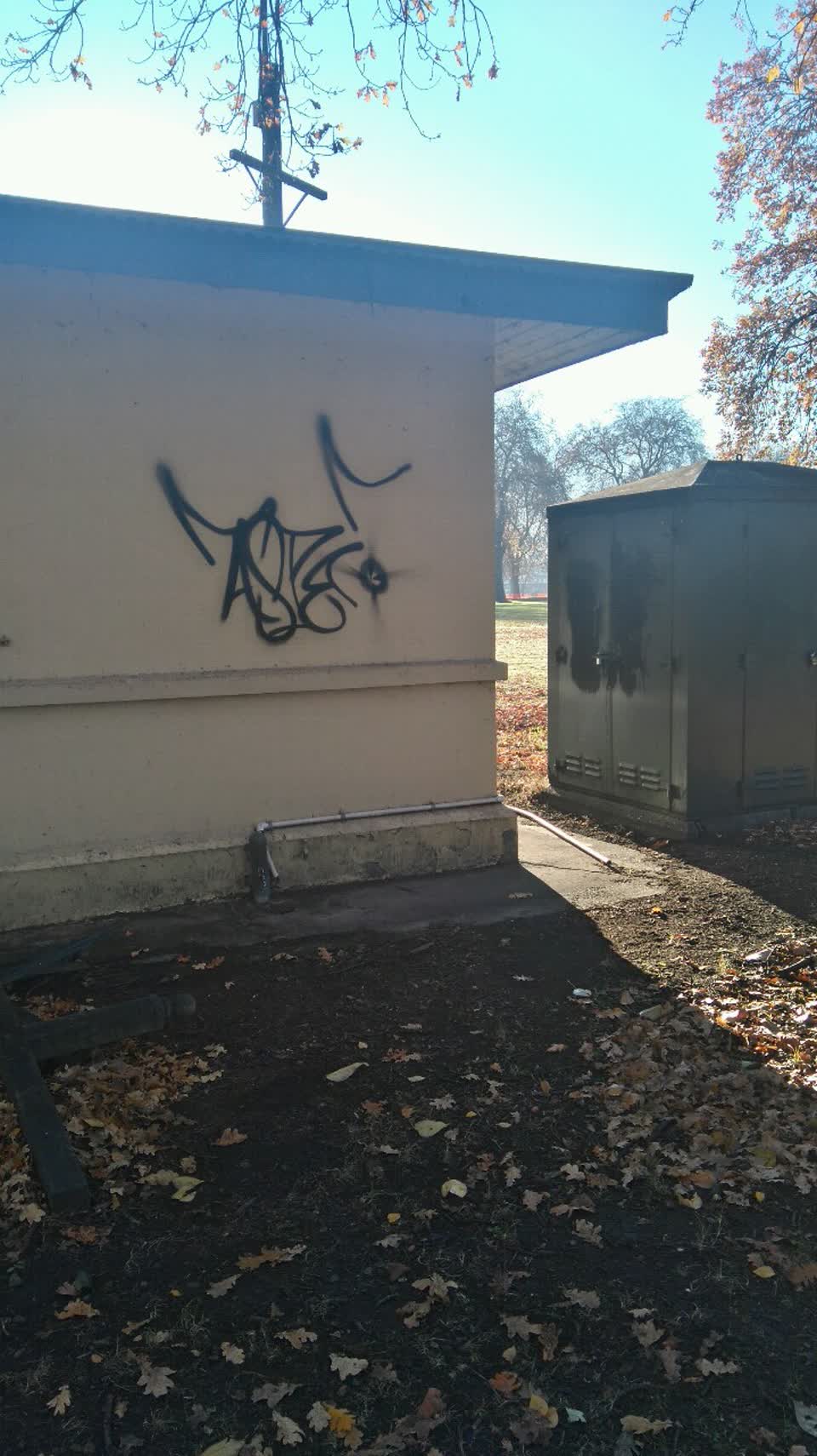 The photograph attached to this graffiti report