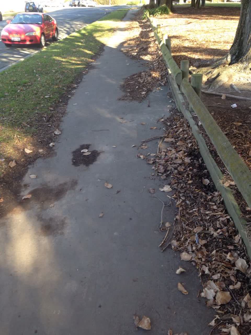 The photograph attached to this parks report
