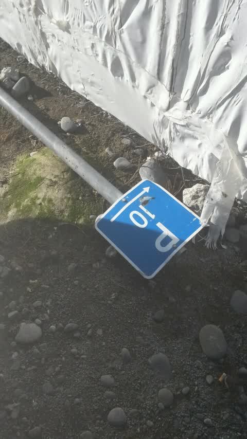 Roading/Streets, a report photo