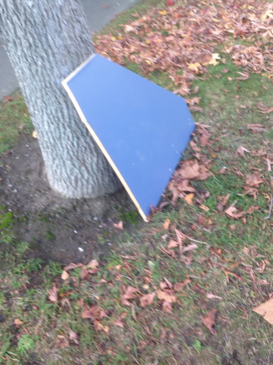 The photograph attached to this rubbish/recycling report