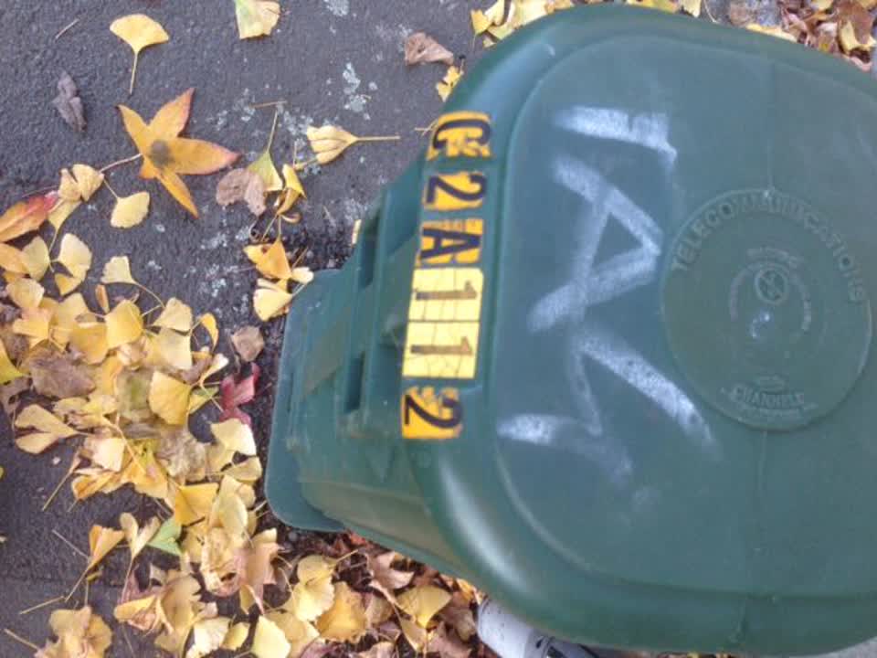 The photograph attached to this graffiti report