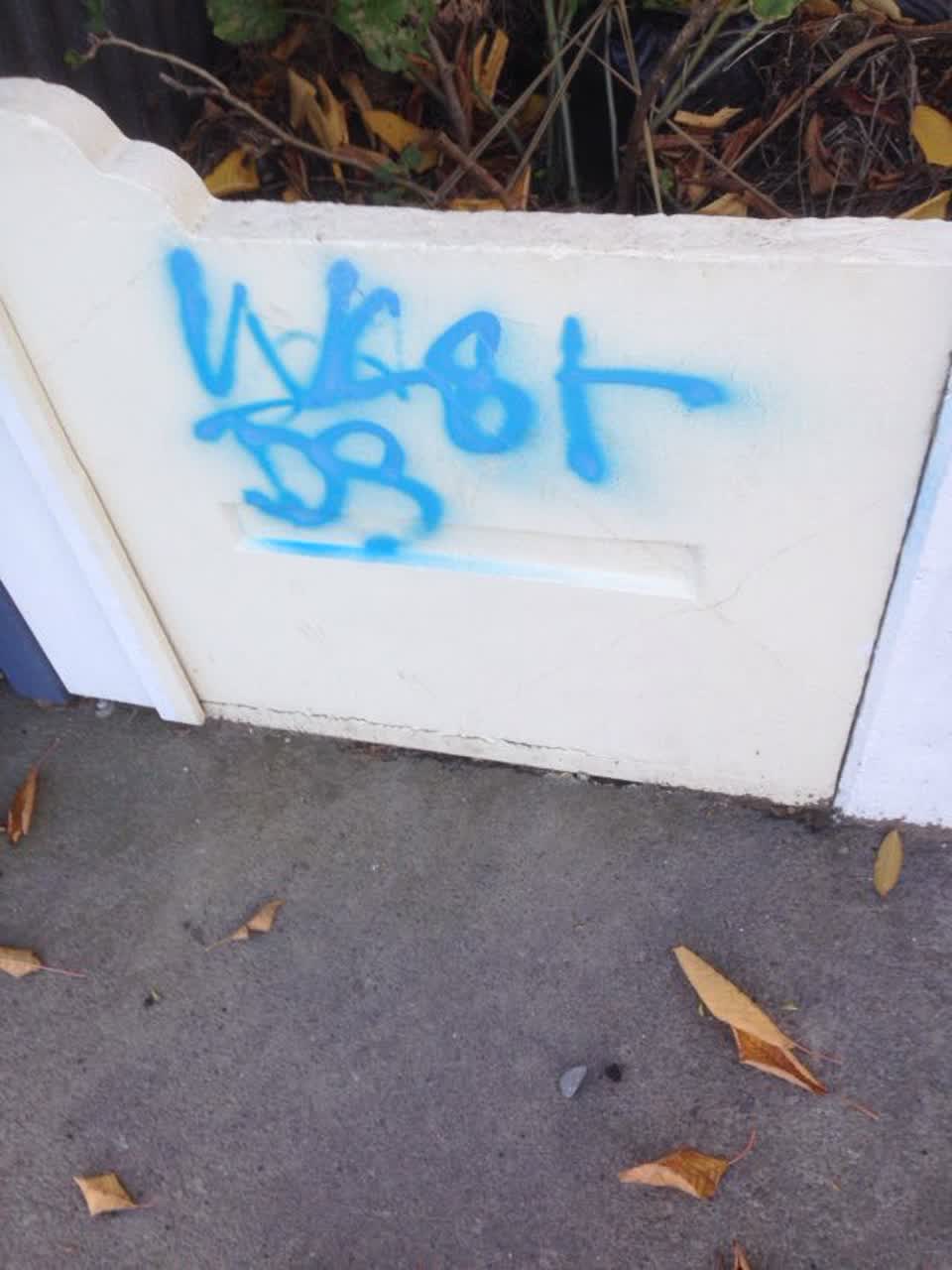 The photograph attached to this graffiti report