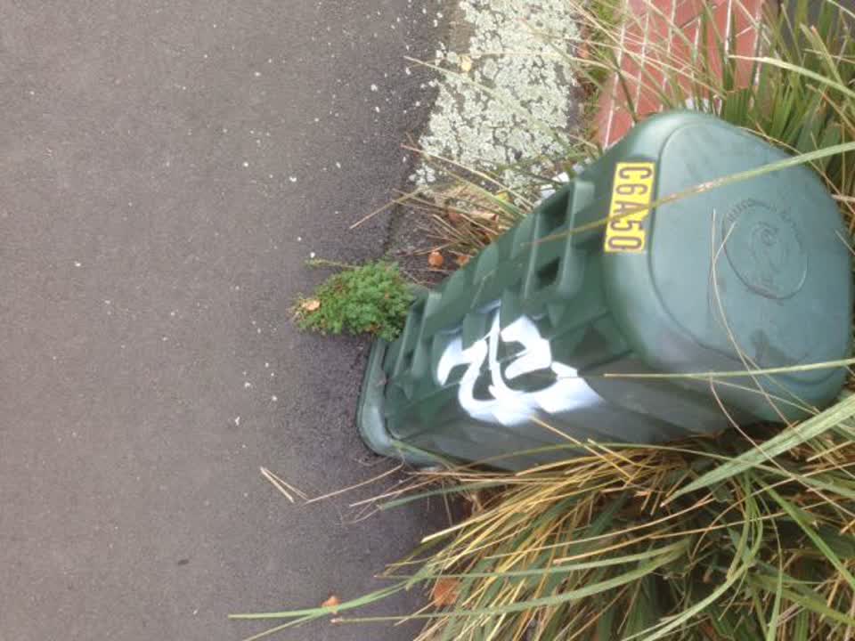 The photograph attached to this graffiti report
