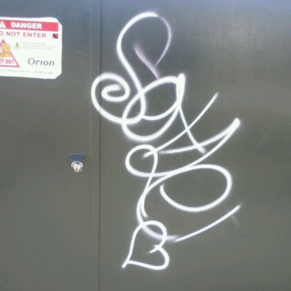 The photograph attached to this graffiti report